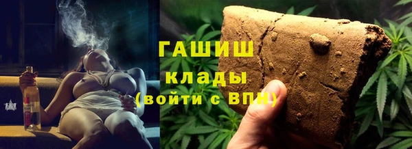 шишки Саяногорск
