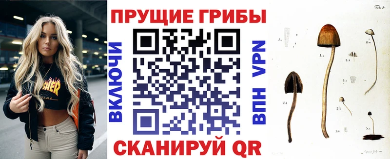Галлюциногенные грибы Magic Shrooms  цена наркотик  Пыть-Ях 